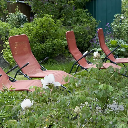 Zum Rosenbachschen Lowen Hilders