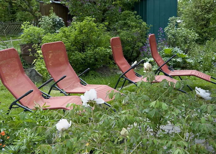 Zum Rosenbachschen Lowen Hilders