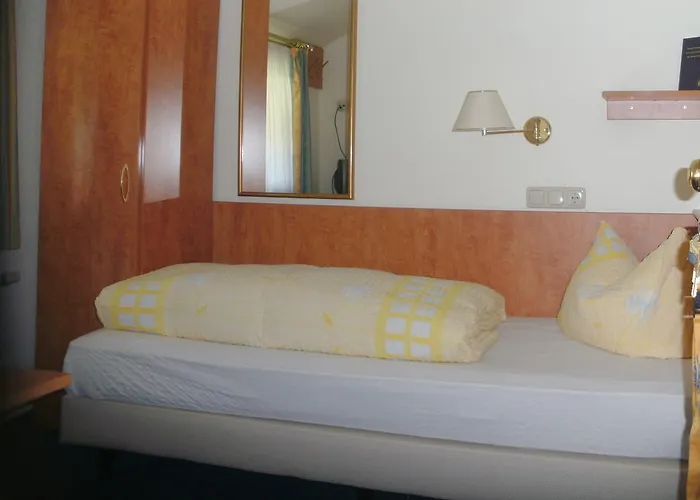 Penzion Zum Rosenbachschen Lowen 3*