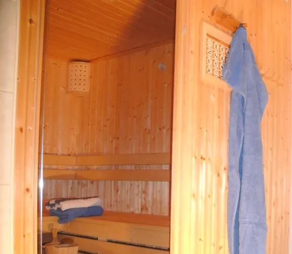 Penzion Zum Rosenbachschen Lowen