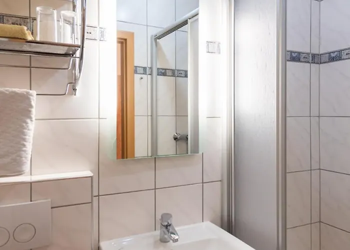 Zum Rosenbachschen Lowen Penzion 3*