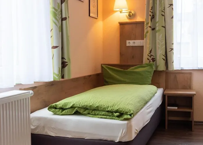 Zum Rosenbachschen Lowen 3*